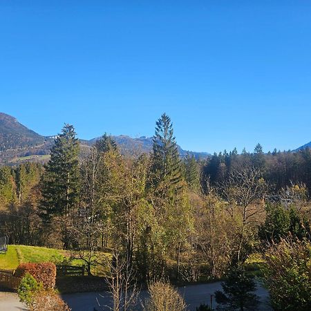 Apartament Dachstein Blick Bad Goisern Zewnętrze zdjęcie